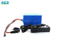 OEM portátil personalizado da bateria de lítio LiFePO4 24V para UPS/o motor/automóvel do barco